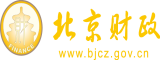 国外胖老太太黄片北京市财政局